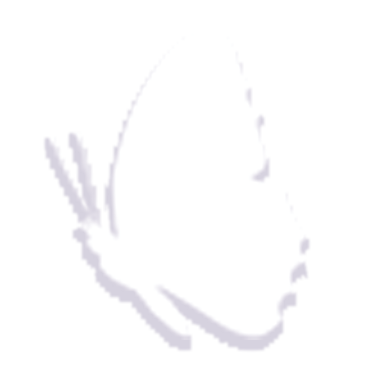 7zi.png