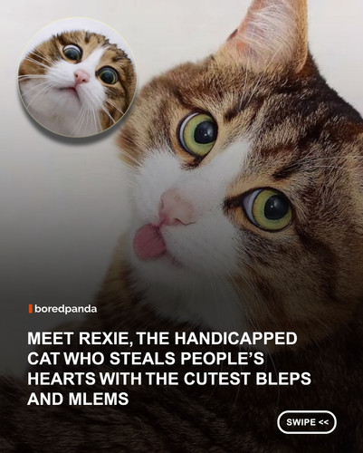 swipe to read.jpg