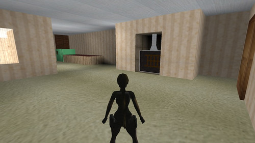 laras dream 9 staticon's home.jpg