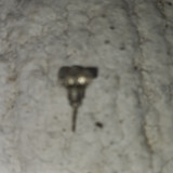 20260706 180824