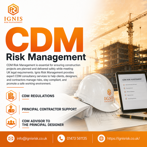 Cdm risk management.png