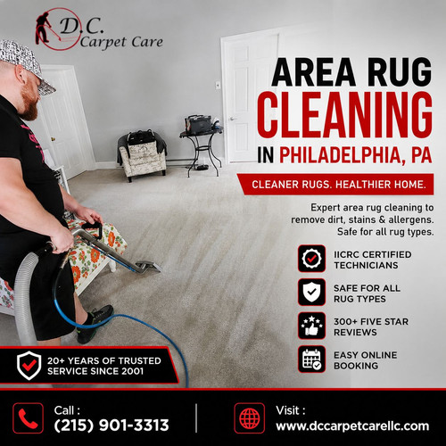 Deep Area Rug Cleaning in Philadelphia, PA.jpg