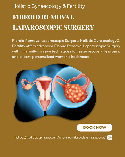Fibroid Removal Laparoscopic Surgery (6).png