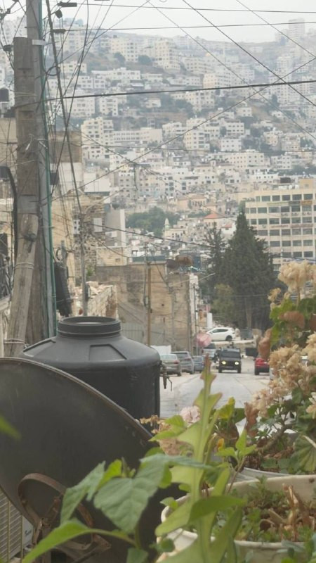 صورة الخبر