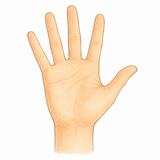 10. て（手）— tangan