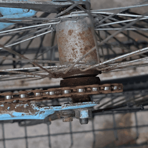 1000019512.gif
