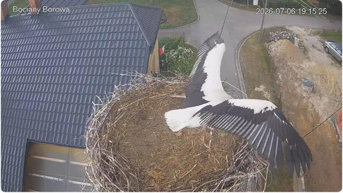 MWSnap292.jpg