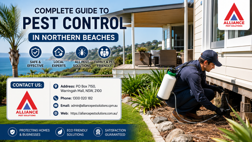 Complete Guide to Pest Control in Northern Beaches.png