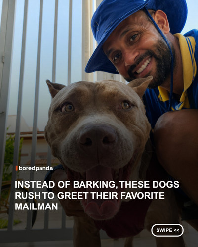 swipe to read.jpg