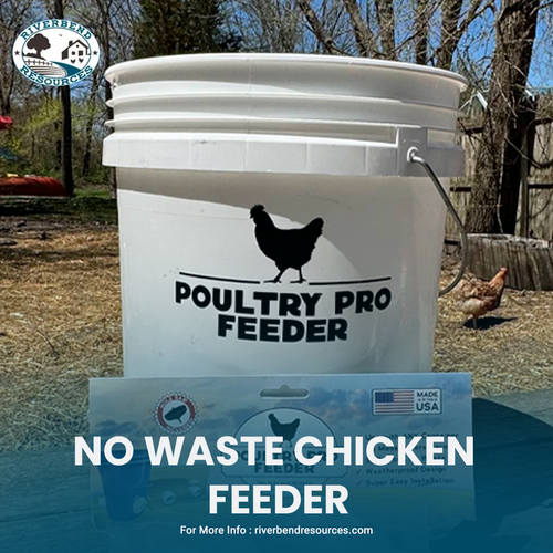 NO WASTE CHICKEN FEEDER.png