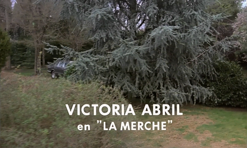 El.placer.de.matar.(1988)[THRILLER].(Spanish).WEBRip.1080p.x264 AC3.by.mokesky.(hispashare.org).mkv .png