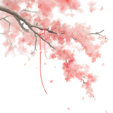 姻缘树