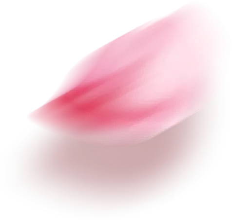 花瓣2.webp