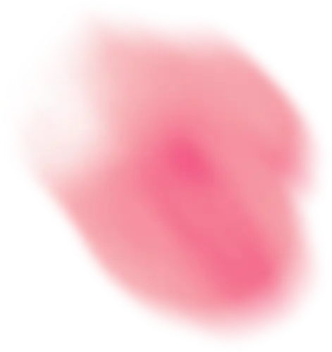 花瓣1.webp