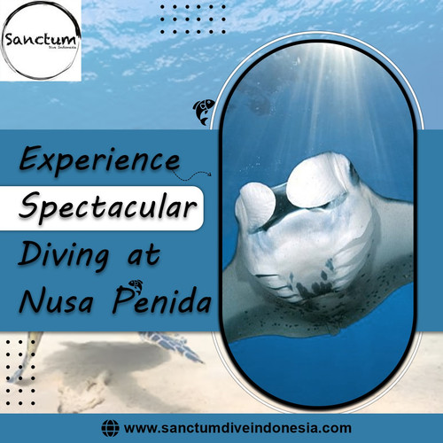 Experience Spectacular Diving at Nusa Penida.jpg