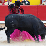 CcdtlON.th.jpg