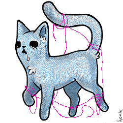 IMG 9568.png