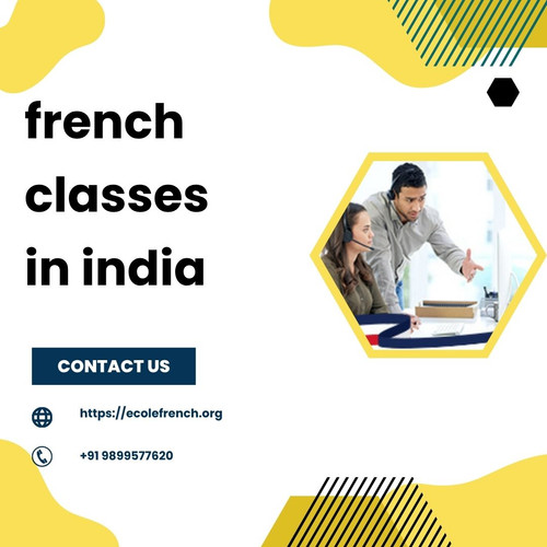 French Classes in India: Online and Offline Learning Options.jpg