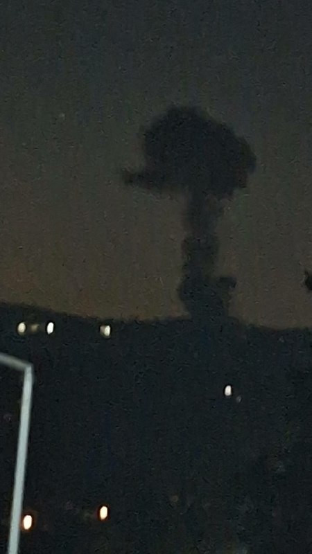 صورة الخبر