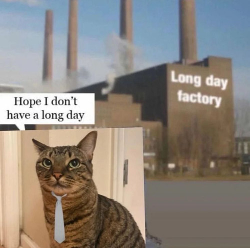 hope i dont have a long day.jpg