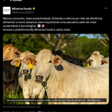 Captura de tela 2026 07 07 112514