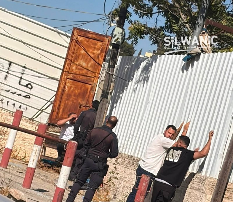 صورة الخبر