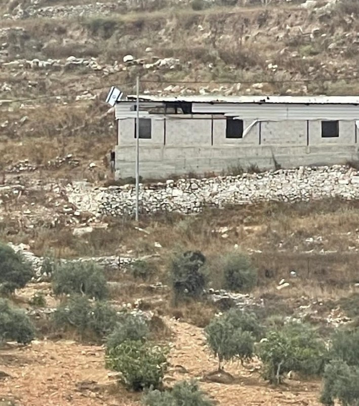 صورة الخبر