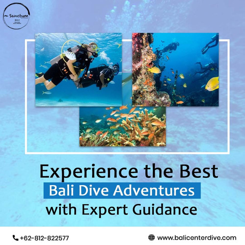Experience the Best Bali Dive Adventures with Expert Guidance.jpg