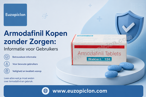 Armodafinil Kopen zonder Zorgen Informatie voor Gebruikers.png