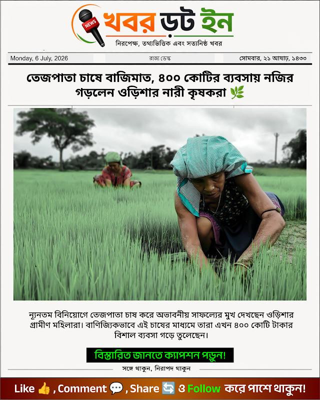 তেজপাতা চাষে বাজিমাত, ৪০০ কোটির ব্যবসায় নজির গড়লেন ওড়িশার নারী কৃষকরা 🌿
