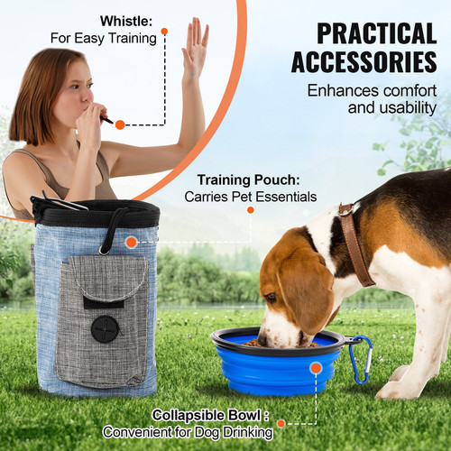 us%2FTYKMJKCTJSJKUSTRTV0%2Foriginal img v2%2Fdog agility equipment f5.jpg