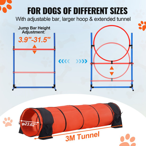 us%2FTYKMJKCTJSJKUSTRTV0%2Foriginal img v2%2Fdog agility equipment f3.jpg