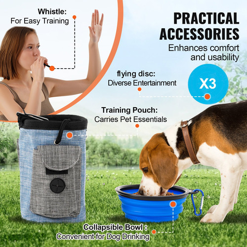 us%2FTYKMJKCTJJCKGHIUDV0%2Foriginal img v4%2Fdog agility equipment f5.jpg
