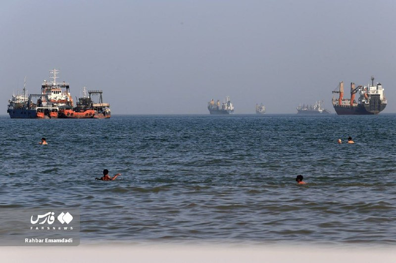 صورة الخبر