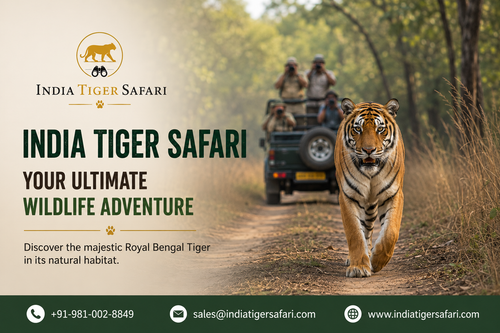 India Tiger Safari – Your Ultimate Wildlife Adventure.png