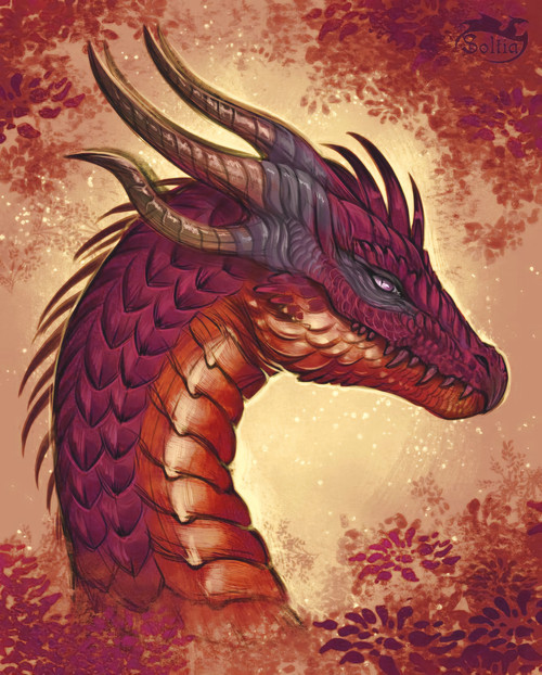 draggomarzia ref recolor (soltia dA).jpg