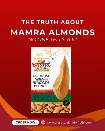 Mamra Almonds: Premium Healthy Dry Fruits for Daily Wellness.jpg