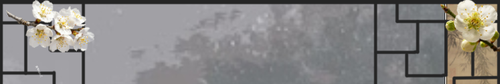 1000041563.png