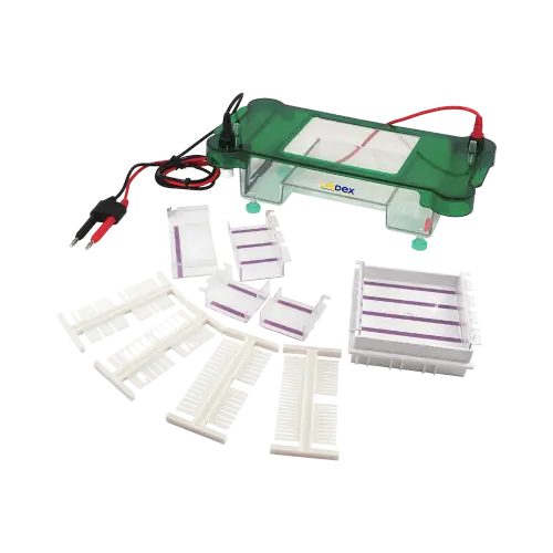 Horizontal Gel Electrophoresis System for DNA Analysis.webp