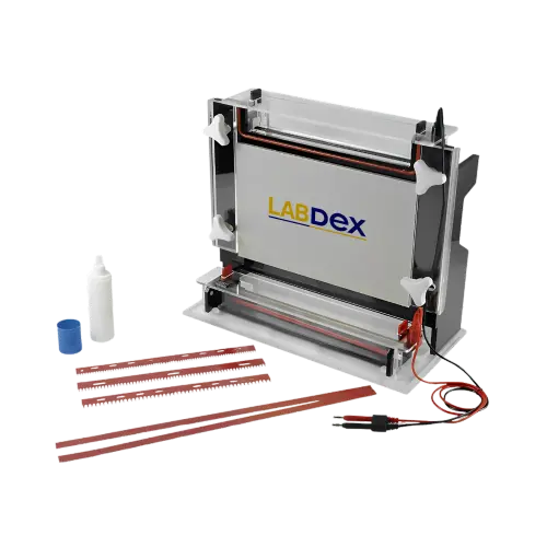 Nucleic Sequencing System for Genomics Research.webp