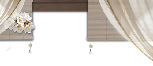 1000041450.png