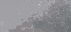 1000041466.png