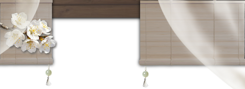 1000041440.png