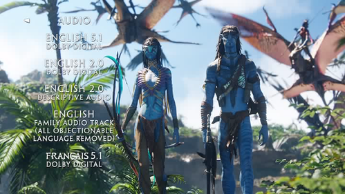 vlcsnap 00002.png