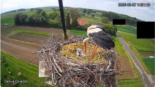 MWSnap123.jpg