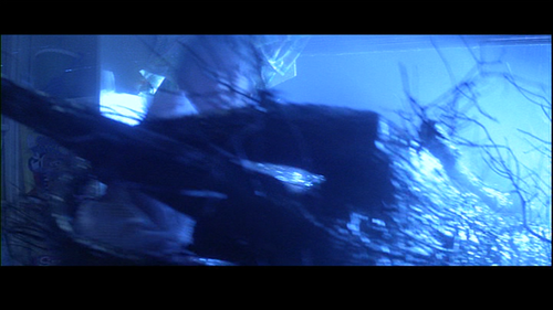 vlcsnap 2026 05 27 05h41m45s078.png