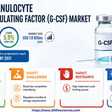 httpswww.24lifesciences.com 2026 05 26T142249.266