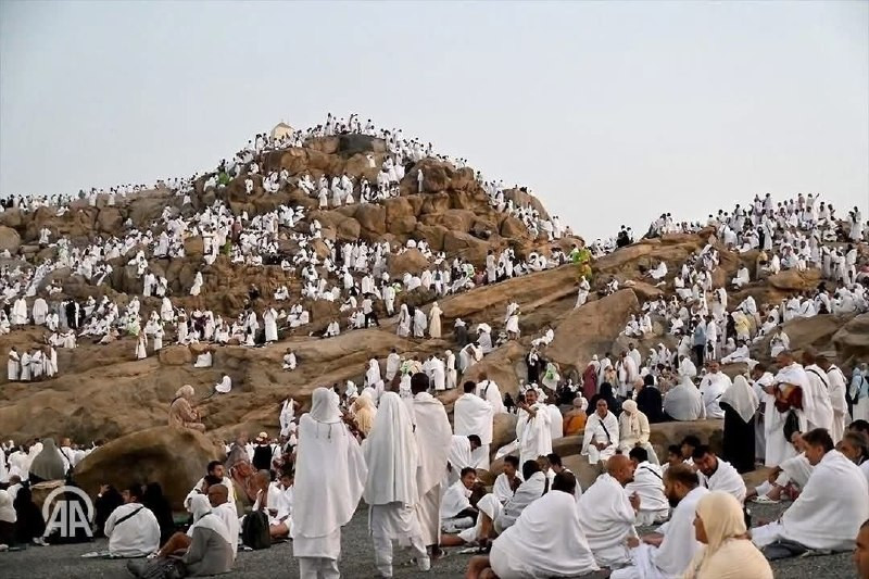 صورة| الحجاج يقفون على صعيد عرفات لأداء الركن الأعظم من مناسك الحج...