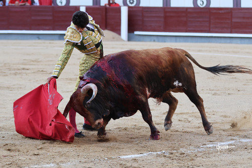 215A5909