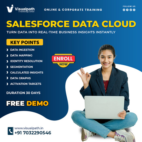 Salesforce Data Cloud Training Online | Corporate Training.jpg